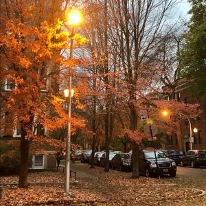 Meet your Posher, Homayra